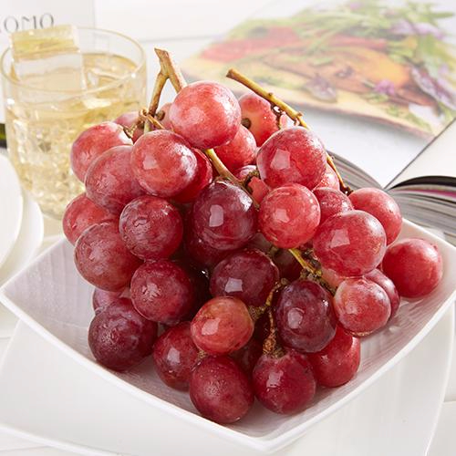 九游APP官网产品名称八